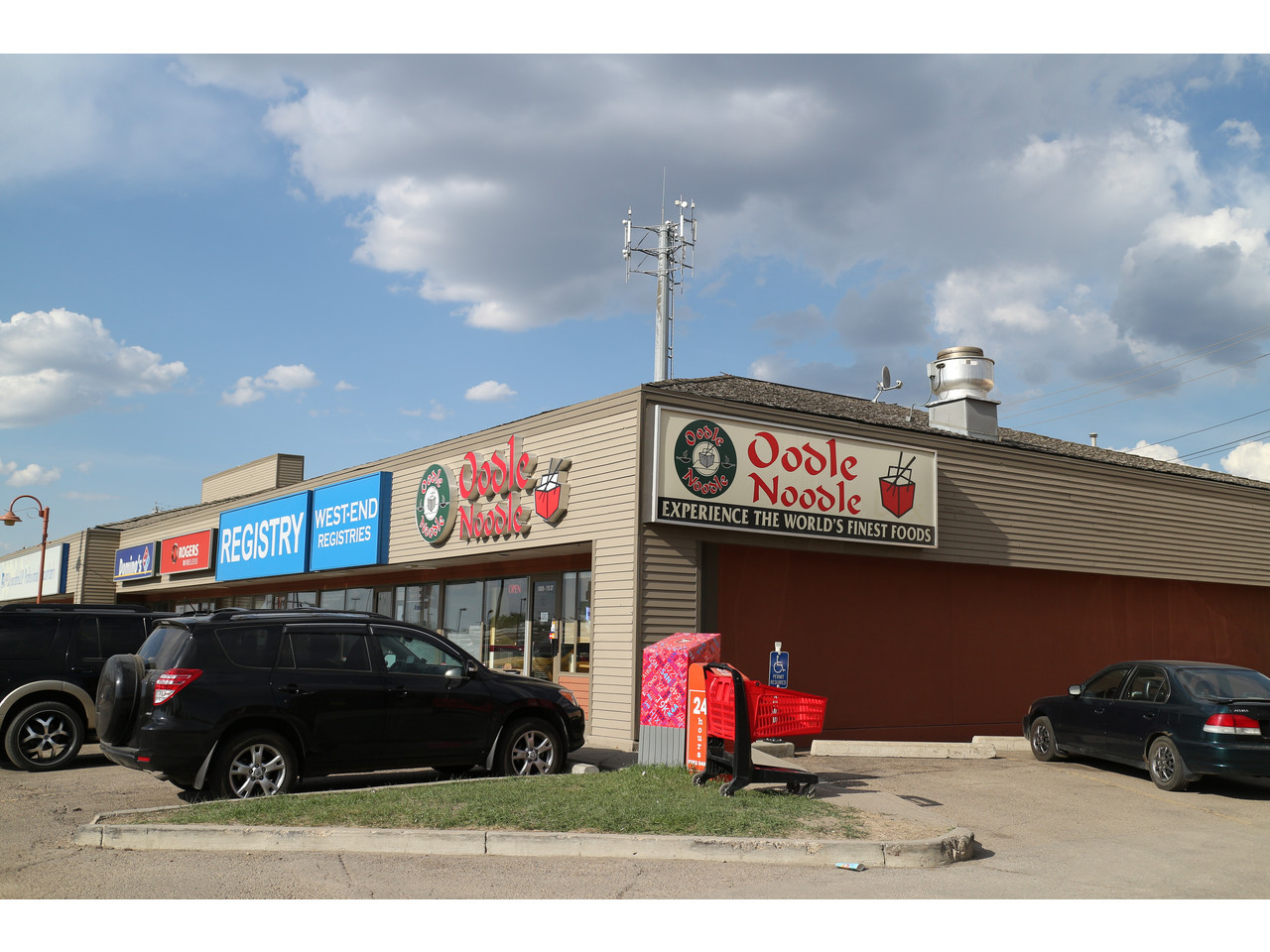 Oodle Noodles Edmonton, AB Elsie Hui